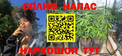 индика Кунгур