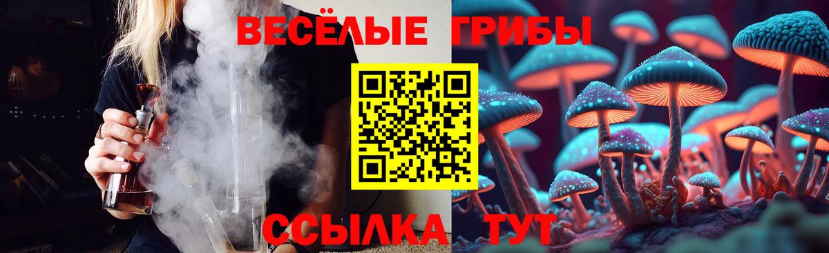 как найти закладки  Вход с VPN  Галлюциногенные грибы ЛСД  Клинцы  Псилоцибиновые грибы Cubensis 